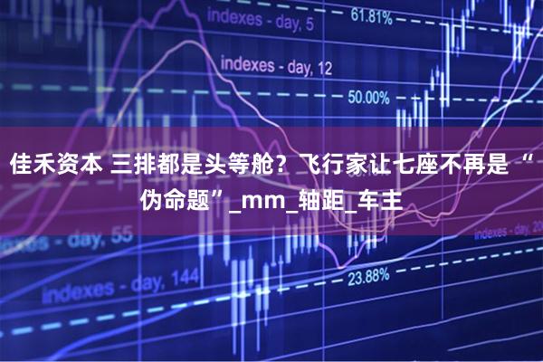 佳禾资本 三排都是头等舱？飞行家让七座不再是 “伪命题”_mm_轴距_车主