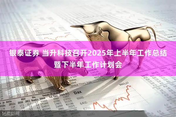 银泰证券 当升科技召开2025年上半年工作总结暨下半年工作计划会