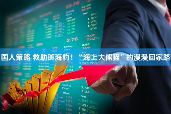 国人策略 救助斑海豹！“海上大熊猫”的漫漫回家路